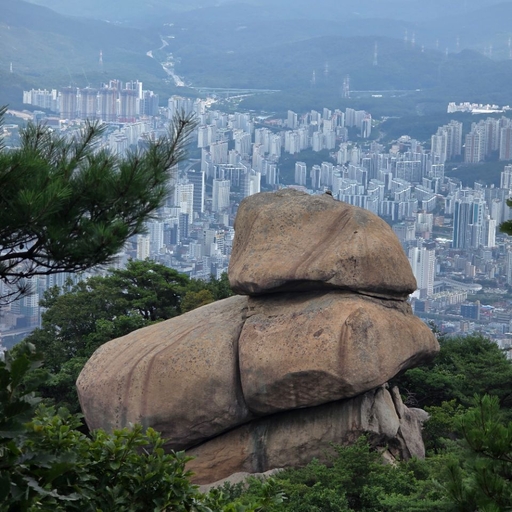 피드 이미지