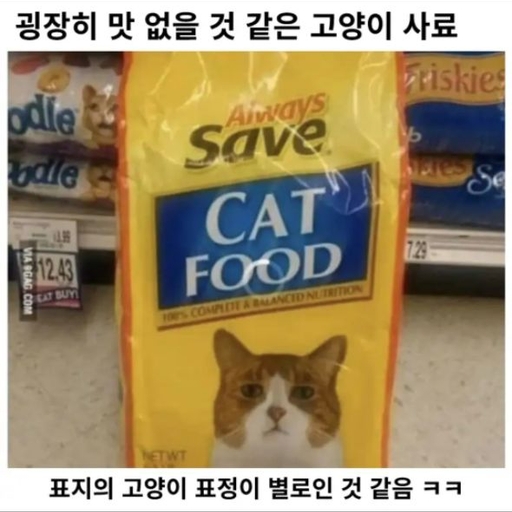피드 이미지