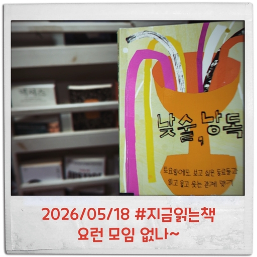 피드 이미지