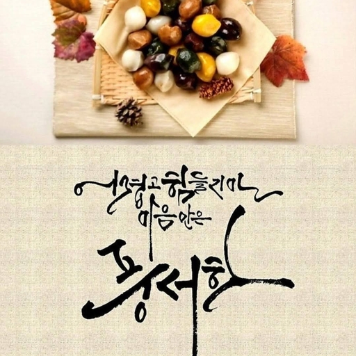 피드 이미지
