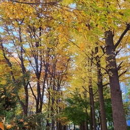 ํผ๋์ ์
๋ก๋ ๋ ์ด๋ฏธ์ง