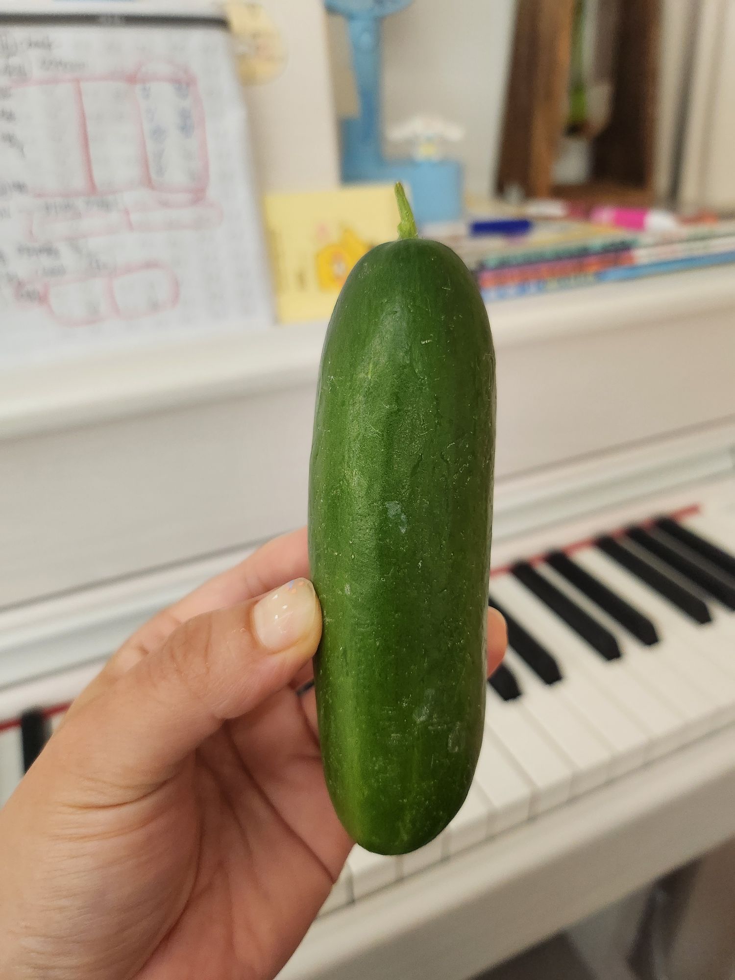 피드 이미지
