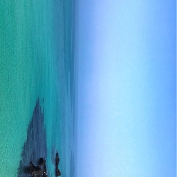 피드에 업로드 된 이미지