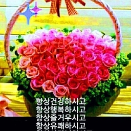 피드에 업로드 된 이미지