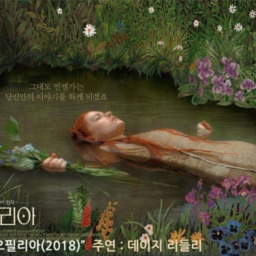 피드 이미지