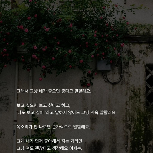 피드 이미지