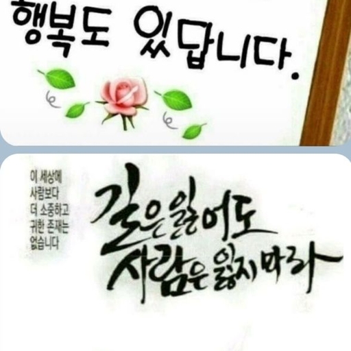 피드 이미지