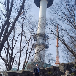 피드에 업로드 된 이미지