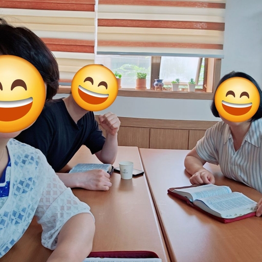 피드 이미지