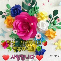 피드에 업로드 된 이미지
