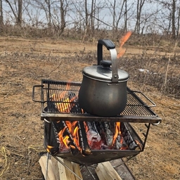 피드에 업로드 된 이미지