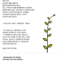피드에 업로드 된 이미지