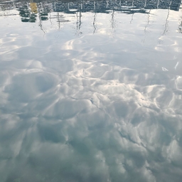 피드에 업로드 된 이미지