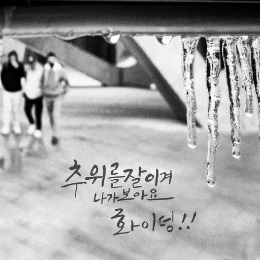 피드 이미지