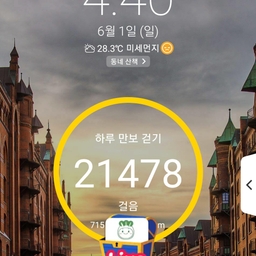 피드에 업로드 된 이미지