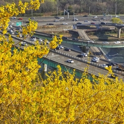 피드에 업로드 된 이미지