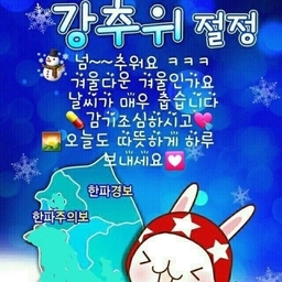 피드에 업로드 된 이미지