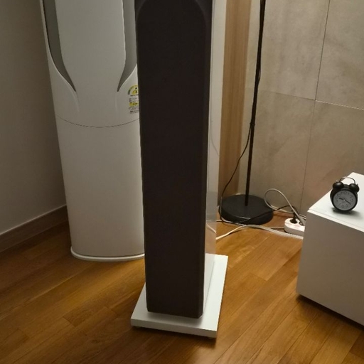 피드 이미지
