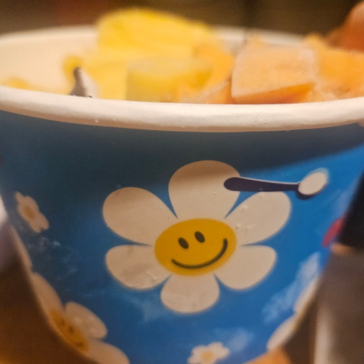피드 이미지