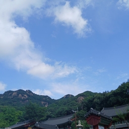 피드에 업로드 된 이미지