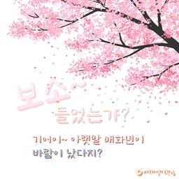 피드에 업로드 된 이미지