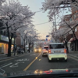 피드에 업로드 된 이미지