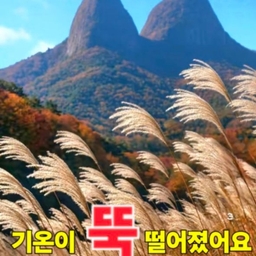 피드에 업로드 된 이미지