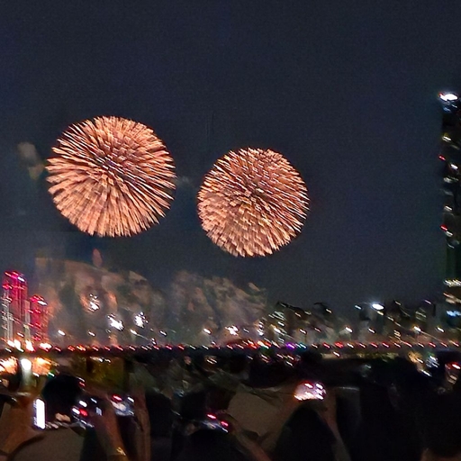 피드 이미지
