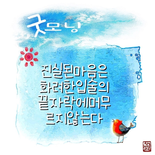 피드 이미지