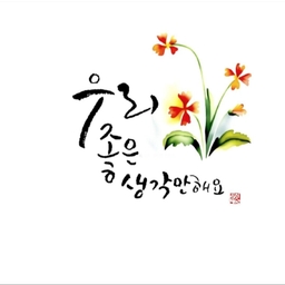 피드에 업로드 된 이미지