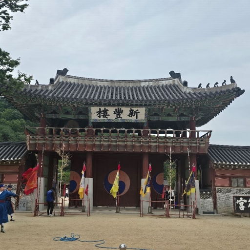 피드 이미지