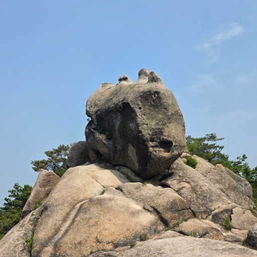 피드 이미지