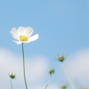 멤버 프로필