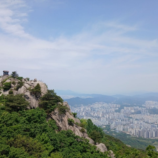 피드 이미지