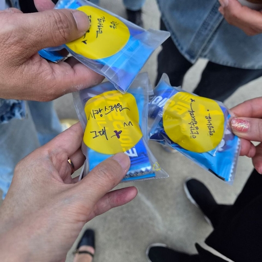 피드 이미지