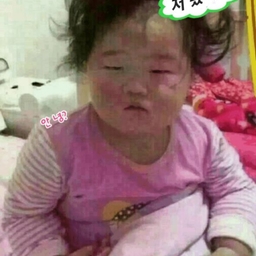 피드에 업로드 된 이미지