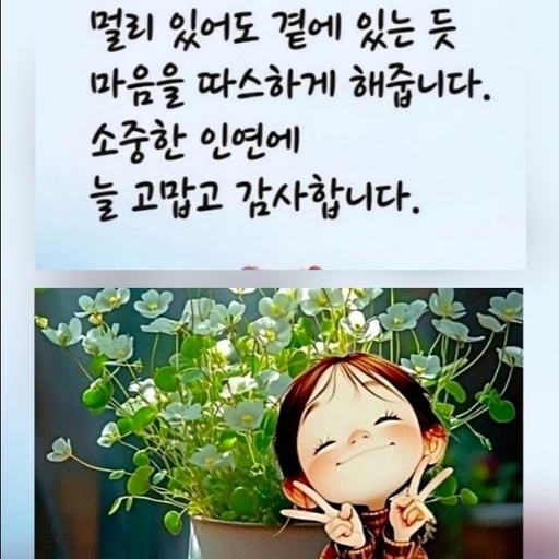 피드 이미지