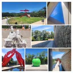 피드에 업로드 된 이미지