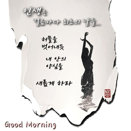 피드에 업로드 된 이미지