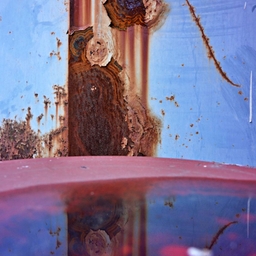 피드에 업로드 된 이미지