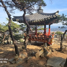 피드에 업로드 된 이미지