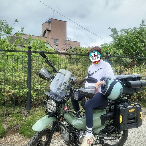 피드 이미지