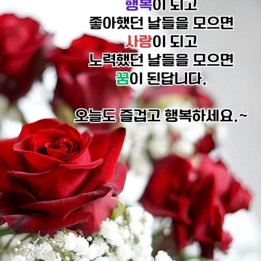 피드 이미지