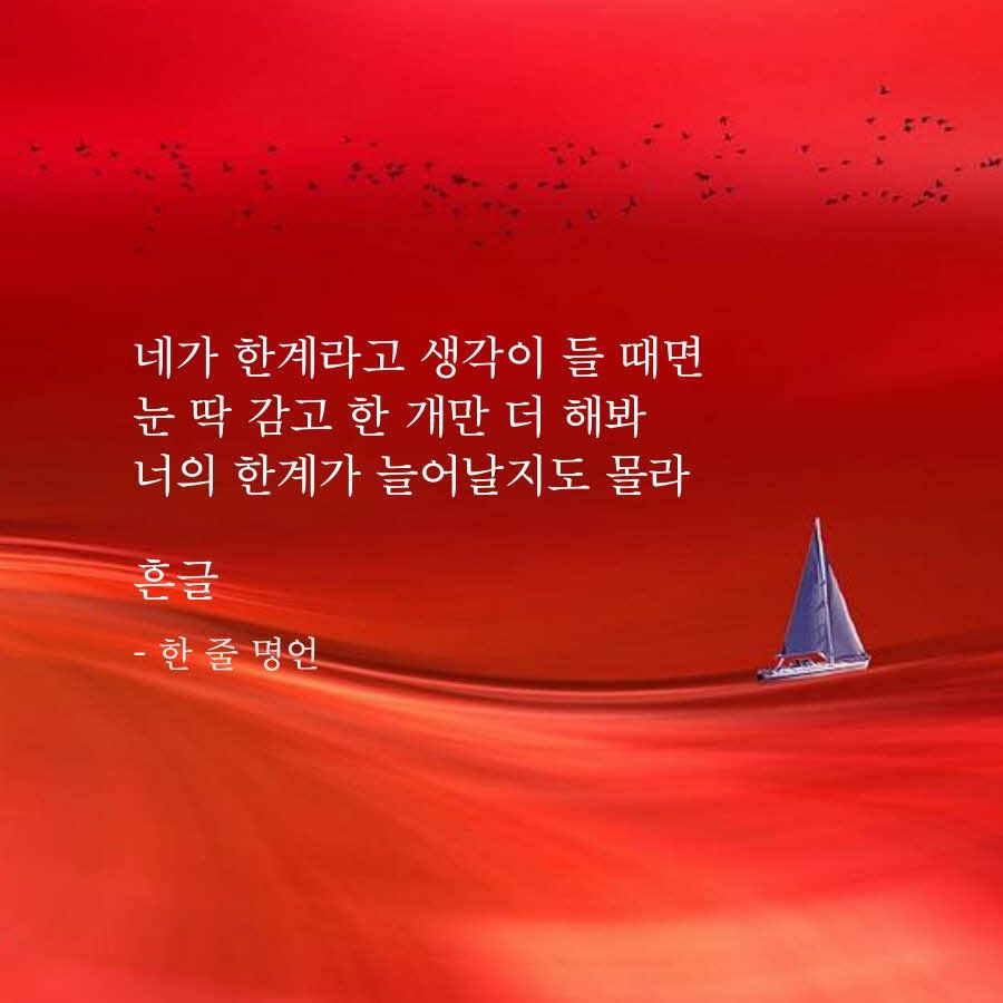 피드에 업로드 된 이미지