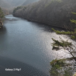 피드에 업로드 된 이미지