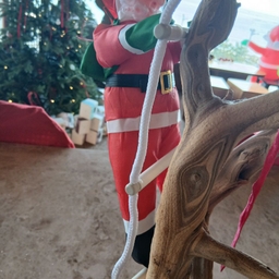 피드에 업로드 된 이미지