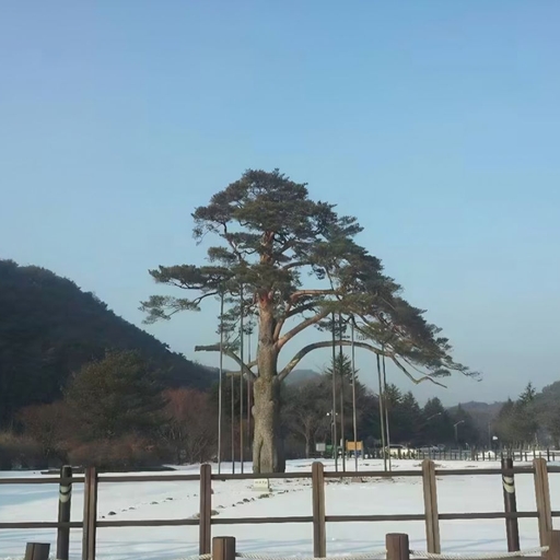 피드 이미지