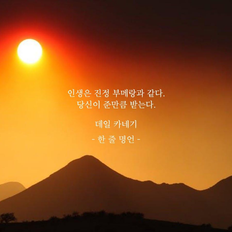 피드에 업로드 된 이미지