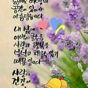 피드 작성자 프로필