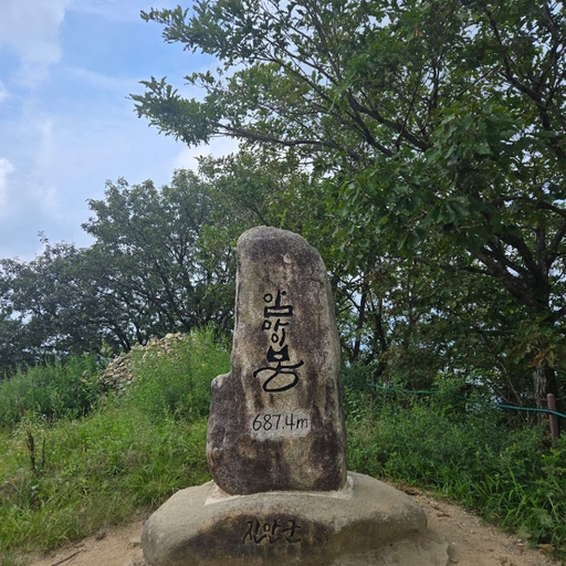 피드 이미지